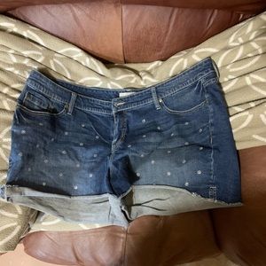Torrid shorts
